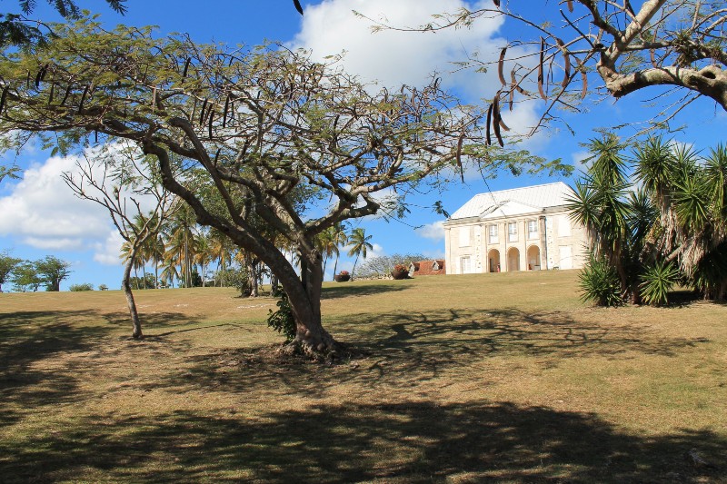 Habitation Murat Where history echoes. Reflecting on the strength and resilience of our ancestors.